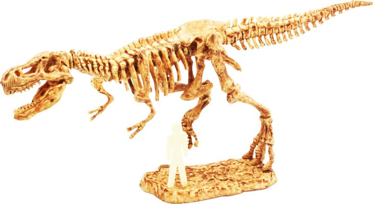 T-rex Excavation kit