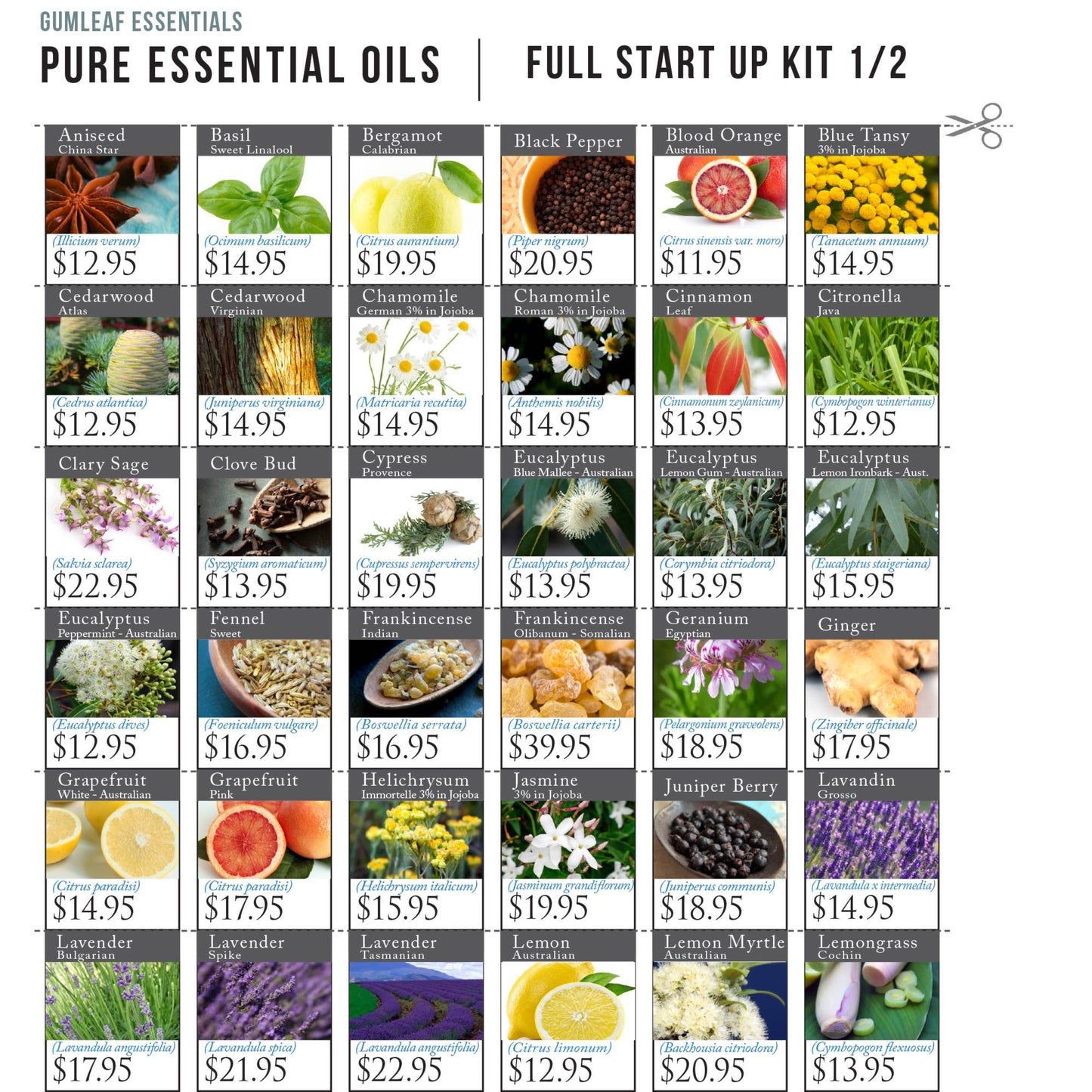 Ticket Stripping - Essential Oil Pures Full