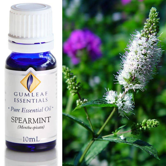 Spearmint Essential Oil