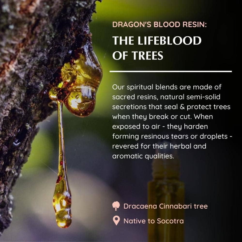 Dragon's Blood Essential Oil Roll-On 10ml