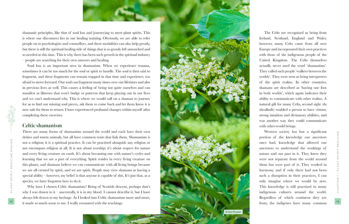 Plant Spirit Medicine (Hardcover)