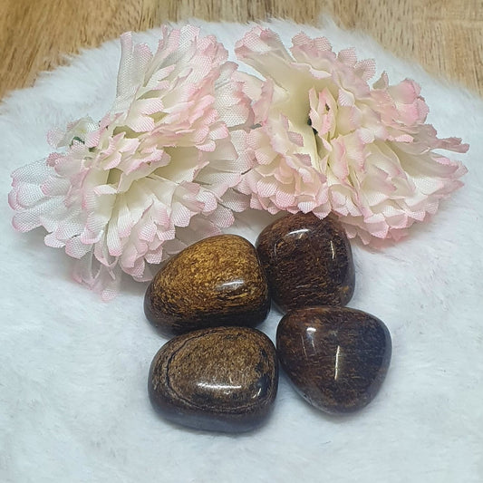 Bronzite Tumbled Stone