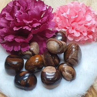 Chocolate Jasper Tumbled Stone
