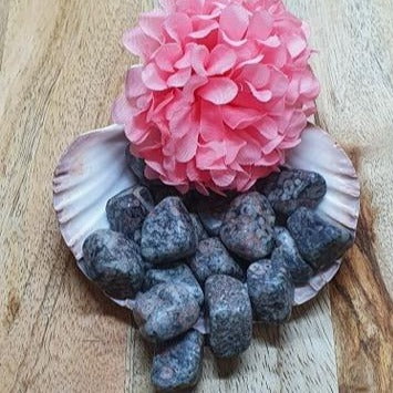 Fossil Jasper Tumbled Stone