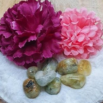 Prehnite Tumbled Stone
