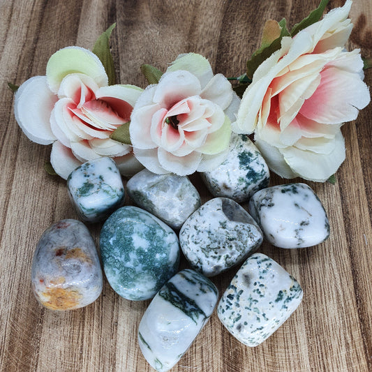 Tree Agate Tumbled Stone
