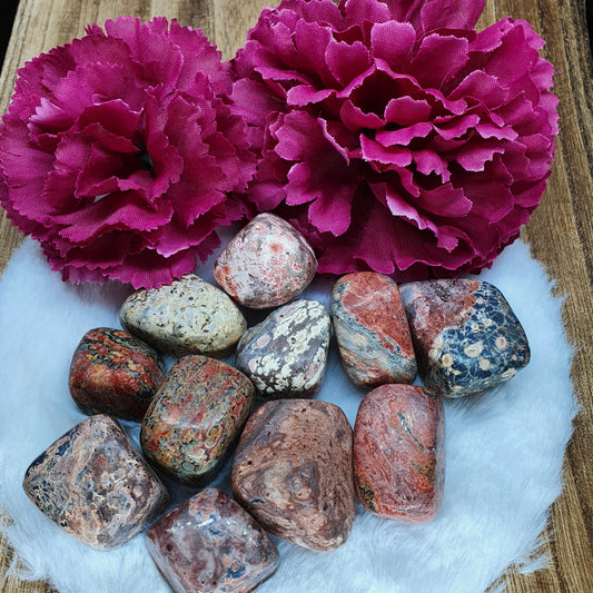 Leopard Skin Jasper Tumbled Stone