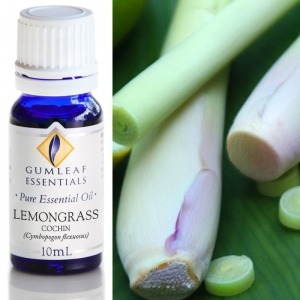 Lemongrass Essential Oil