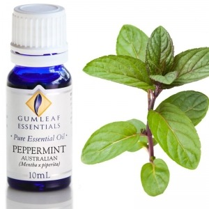 Peppermint Essential Oil